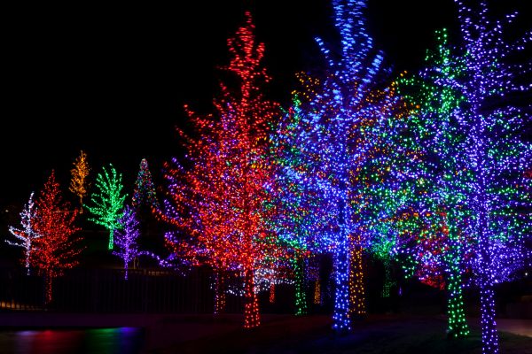 Holiday Lights Installation Service