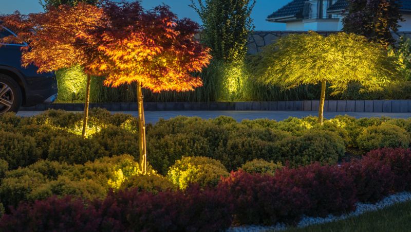 How Landscape Lighting Enhances Safety And Curb Appeal